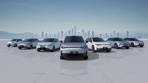 零跑汽車2024上半年財報分析 交付量創(chuàng)歷史新高，營銷網(wǎng)絡持續(xù)優(yōu)化助力銷售增長