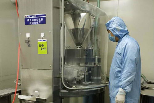 金花制藥廠順利完成GMP符合性自檢工作，全面承接總公司核心業務